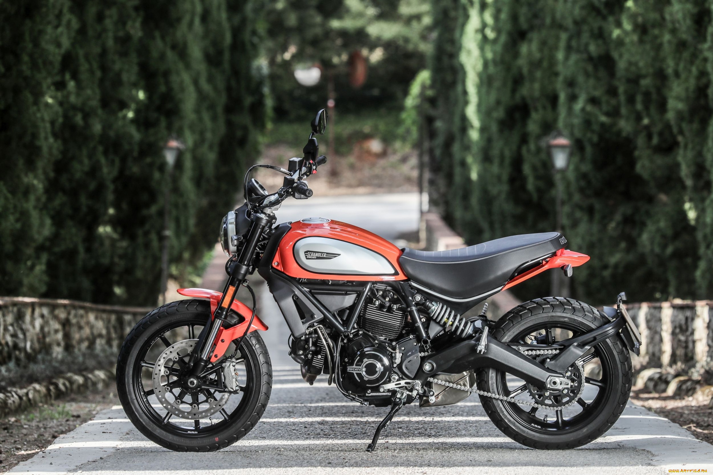 ducati scrambler, , ducati, scrambler, 